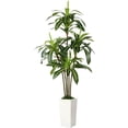 thumbnail image 1 of 6ft Artificial Dracaena Tree, Fake Tree Indoor with White Tall Planter, Artificial Silk Plants for Home Office Decor, 1 of 7