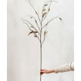 thumbnail image 1 of Artificial Dried Ling Yu Grass Stem 47" Tall Faux, 1 of 10
