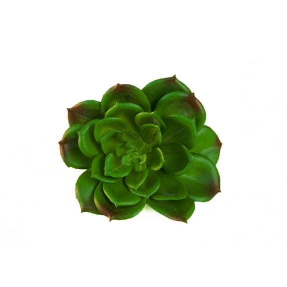 Artificial Echeveria Succulent-1 Piece (5" x 7")