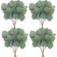 thumbnail image 1 of Artificial Eucalyptus Leaves 24PCS Greenery Stems Fake Silk Eucalyptus Leaf for Home Party Wedding Decor, 1 of 6