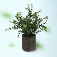thumbnail image 1 of Artificial Eucalyptus Plants | farmhouse Plants Home Decor | Plant for Office Kitchen Bathroom Bedroom Shelf Living Room Table Decoration, 1 of 8