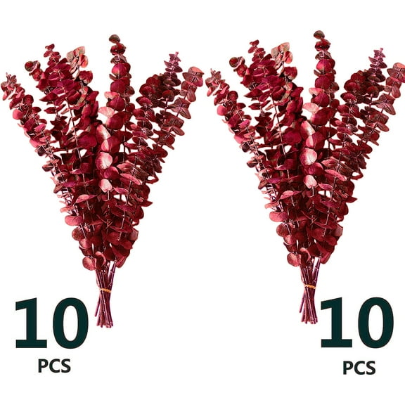 Artificial Eucalyptus Stems Plant Bundle - Real Natural 20 Stems Eucalyptus Leaves, 17'' Fresh Eucalyptus for Shower, Aromatherapy, Flower Vase Arrangements, Wedding Home Eucalyptus Decor (Red)