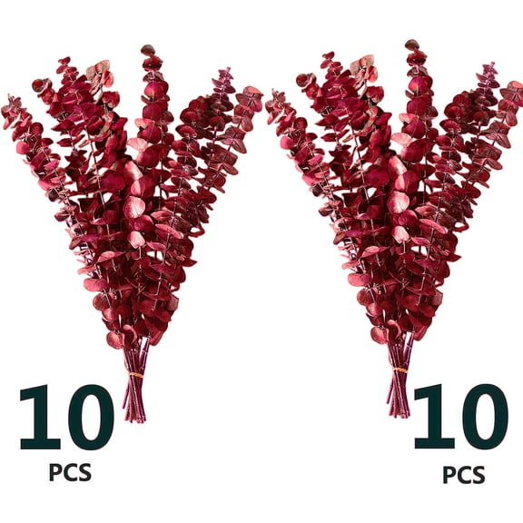 Artificial Eucalyptus Stems Plant Bundle - Real Natural 20 Stems Eucalyptus Leaves, 17'' Fresh Eucalyptus for Shower, Aromatherapy, Flower Vase Arrangements, Wedding Home Eucalyptus Decor (Red)