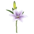thumbnail image 1 of Artificial Exquisite Flowers & Shrubs, Oimcto Realistic Faux Plants for Indoor & Outdoor Spring Home Decoration, No Watering Needed, Adds Warm Atmosphere Year-Round, Single Bloom Violet, 1 of 9