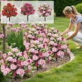 thumbnail image 1 of Artificial Fake Flowers for Outdoors Spring Decoration Faux Flowers Plants for Outdoor Planters UV Resistant Silk Realistic Flowers for Outside Home Garden Front Porch Patio Décor, 1 of 10