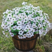 Artificial Fake White Flowers Plants for Outdoor Winter Christmas Decoration, 10 Bundles Faux Silk Daisies UV Resistant Look Real for Outside Planter Pot Porch Yard Patio Garden