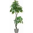 Artificial Faux 72 Tall Real Touch Pachira Aquatica Money Plant With artificial-faux-72-tall-real-touch-pachira-aquatica-money-plant-with