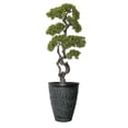 thumbnail image 1 of Artificial Faux Bonsai Tree 59" Fake Plant with Planter, 1 of 3