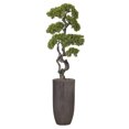 thumbnail image 1 of Artificial Faux Bonsai Tree 63" Fake Plant with Planter, 1 of 3