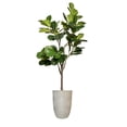 thumbnail image 1 of Artificial Faux Fig Tree 76" Large Fake Plant with Planter, 1 of 3