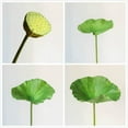 thumbnail image 1 of Artificial Faux Plant Lotus Seed and Leaf Stem Various Sizes, 1 of 4