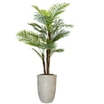 thumbnail image 1 of Artificial Faux Real Touch 6.59 Feet Fern Tree With Planter, 1 of 3