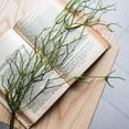 thumbnail image 1 of Artificial Faux Usnea Vine Stem 22" Long, 1 of 11