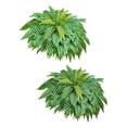 thumbnail image 1 of Artificial Fern 2-Pack, 45 Inch Lifelike Silk and PE Plant, Dense Foliage, Weather-Proof LDPE Branches, Hang or Lay Flat, Low Maintenance for Indoor Outdoor Decor, 1 of 7