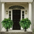 thumbnail image 1 of An Artificial Fern Clearance! Lifelike Artificial Fern Branches 2025 New Artificial Ferns Ferns Artificial Plants Large for & Home Decor Outdoor & Indoor, 1 of 9