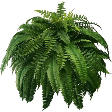 Artificial Ferns for Outdoors 2024 Fake Ferns Artificial Plants UV Resistant Lifelike Artificial Boston Fern Silk Ferns for Outdoors Indoor Growhabity Ferns Artificial Plants No Fade (38 Leaves)