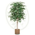 Artificial Ficus Tree 5FT Tall, Fake Tree with Natural Wood Trunk