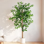 ROMSWI 5FT Artificial Ficus Tree with White Planter Realistic Ficus Plants with Natural Wood Trunk for Living Room Home Office Porch