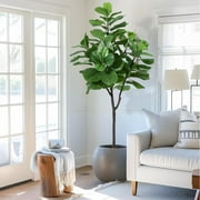 Artificial Fiddle Leaf Fig Tree 6 ft72 in Tall Faux Silk Ficus Trees for Home Office Living Room Decor Indoor Fake Potted Tree with Natural Dry Grass and Lifelike Ficus Leaf