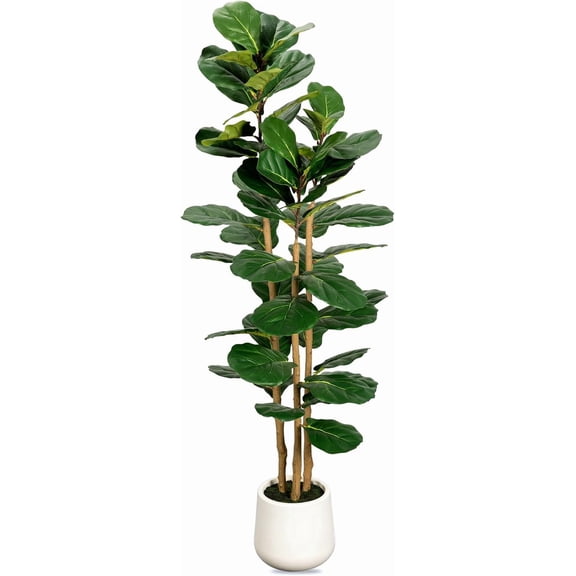 Artificial Fiddle Leaf Fig Tree in White Planter 5ft with 3 Trunks and Moss