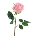 thumbnail image 1 of Artificial Flower Eco-friendly Anti-fade Plastic Simulation Rose Flower Decor for Home-Pink, 1 of 5