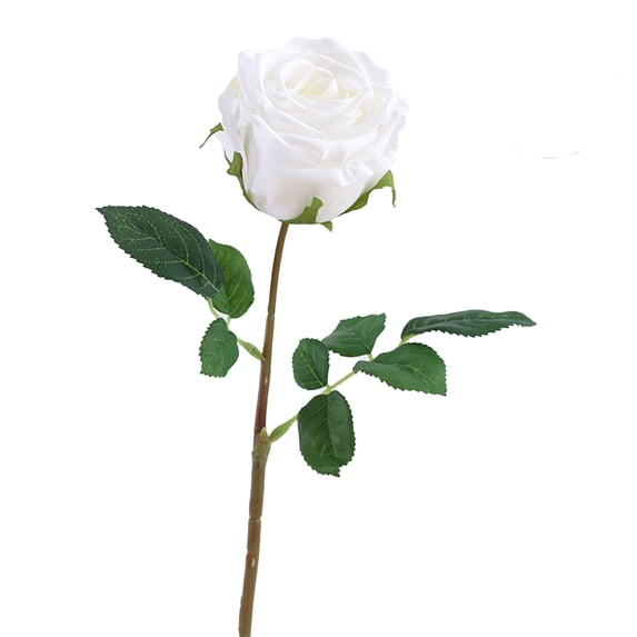 Artificial Flower Eco-friendly Anti-fade Plastic Simulation Rose Flower Decor for Home-White