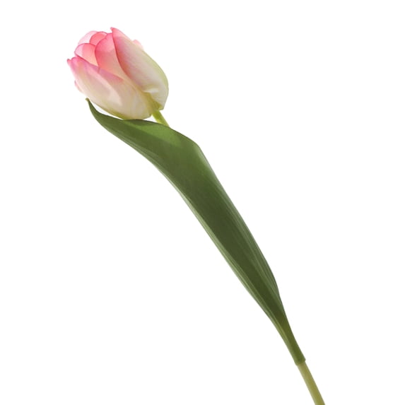 Artificial Flower Multi-use Bright-colored Faux Silk Flower Simulation Tulip Display for Gifts