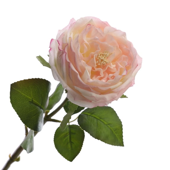 Artificial Flower Non-fading Vibrant Color Realistic Looking Fine Texture Clear Veins Decorative Plastic Natural Look Simulation Rose Flower Party Ornament for Home-Pink White