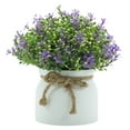 thumbnail image 1 of Artificial Flower Potted Plants Fake Flower in Pots Decorations for Home Bathroom Kitchen Rustic Table Centerpiece Decor, 1 of 8