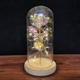 thumbnail image 1 of Artificial Flower Rose Light,Galaxy Rose Flower Gift for Her, Forever Rose in Glass Dome for Mother's Day,Gifts for Valentine’s Day,Christmas gift,Artificial Galaxy Rose Lamp, 1 of 6
