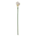 thumbnail image 1 of Artificial Flower Single Branch Not Withered Anti-fall Realistic Eye-catching Dining Table Decor Atmosphere Props Crimping Calla Fake Flower Home Ornament-White, 1 of 8
