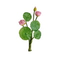 thumbnail image 1 of Artificial Flower Water Lily, Simulation Lotus Decoration Mini Lotus Flower Vase Filler, Silk Plants Floating Flowers, Realistic Flower Lifelike Arrangement,Lotus Decor for Fish Tank Home Decor, 1 of 6