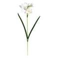 thumbnail image 1 of Artificial Flowers Artificial Daffodils Flowers Faux Daffodils Plants Silk Daffodils Flowers with Stems Flower Arrangement for Party Wedding Office Store Home Decor, 1 of 8