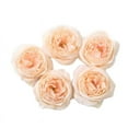 Artificial Flowers Bright Fastness Silk Persistent Beautiful Simulates