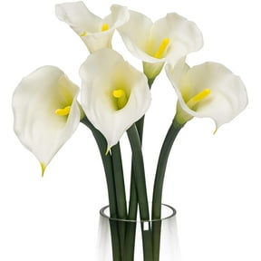 Artificial Flowers Calla Lilly 25.6'' Large Latex Fake Bouquet Soft Real Touch Long Stem Plants 5 Pcs for Home,Living Room,Bedroom,Dining Table,Office,Weddings Party Garden Decor(White)