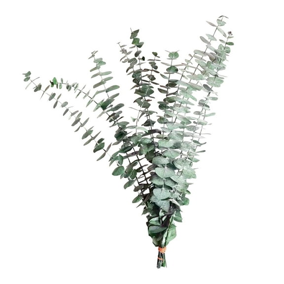 Artificial Flowers Dry Tree Stem 17 Inches Real Leaf Hanging Shower Stem, Made of Fresh Leaves, Wedding Decoration, Home Decoration, Garden Decoration (Green)