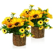 HANGTANWAN Artificial Flowers Fake Silk Sunflower Flower in Planters Flower Vase Small Rustic Potted Flower Arrangements Artificial for Home Outdoors Tabletop Decor Set of 2 (Yellow)