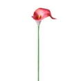 thumbnail image 1 of Artificial Flowers Kit Clearance, Ongmies Artificial Calla Flowers Wedding Bouquet Flower Decor Flower 10Pcs Home Decoration Faux Calla Lilies Flower, 1 of 4