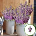 thumbnail image 1 of Artificial Flowers Morning Glory for Outdoor,21'' UV Resistant Faux Flowers Realistic Fake Plants,All-Weather Fade Proof Low Maintenance Silk Artificial Plants for Porch Planter Patio Front Door, 1 of 7