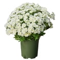 thumbnail image 1 of Fall Flowers Artificial for Decoration, Artificial Flowers - Dienrx 5 Bundles Artificial Sunset Chrysanthemum Flowers for Outdoor Decoration – Fade Proof Realistic Flowers for Garden Patio and Porch, 1 of 8