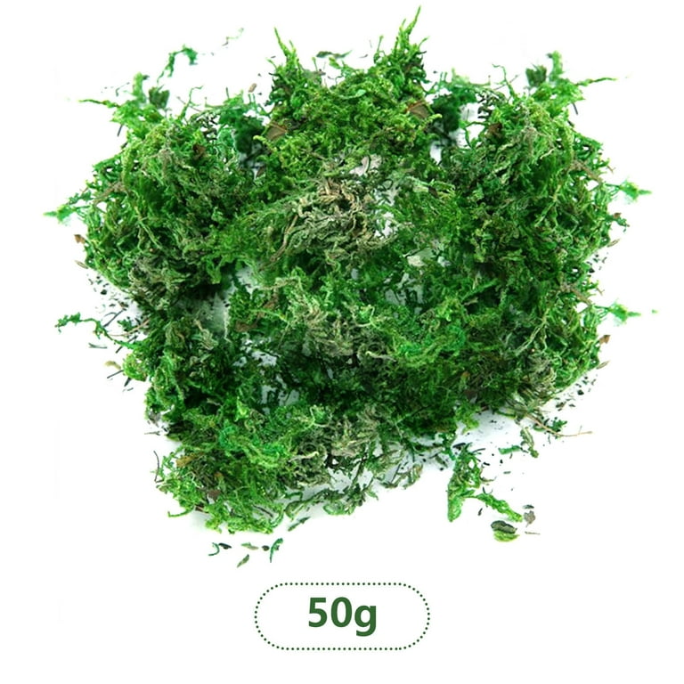Fake Moss Artificial Moss For Potted Plants Greenery Moss Home Decor Fairy  Garden Crafts Wedding Decoration Fresh Green 100g 