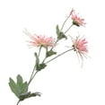 thumbnail image 1 of Artificial Flowers Simulation for Wedding Bouquet Centerpiece Home Decor Eco-friendly Eye-catching Faux Silk Flower Simulation Chrysanthemum Wedding Decor for Engagement, 1 of 8