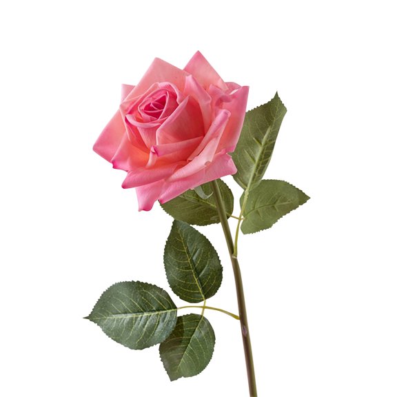 Artificial Flowers for Outdoors Light Moon Wet Feel Rolled Edge Rose Simulation Flower, Suitable for Any Place (D)