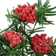 thumbnail image 1 of Artificial Frosted Holly Berries Fake 12 Mm Mini Christmas Fruit Berry Flower Decor Simulated Small Berries Christmas Tree Wreath Patio Table Decorations, 1 of 6