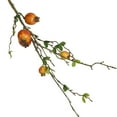thumbnail image 1 of Artificial Fruit Decor Verdsylv Faux Pomegranate Berry Branch Stem with Leaves Realistic Faux Fruit Floral Spray for Table Centerpiece Kitchen Dining Room Home Decor, Orange, 1 of 5