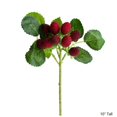 thumbnail image 1 of Artificial Fruit Faux Raspberry Fruit Stem Set 10" Tall, 1 of 5