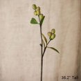 thumbnail image 1 of Artificial Fruit Pipa Fruit Tall Stem 36" Tall, 1 of 4