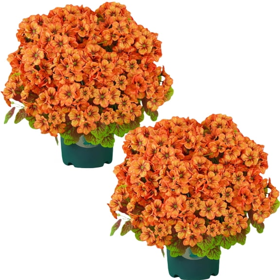 Artificial Geranium Bush Light Orange 20 Inch UV Resistant Faux Plant for Outdoor Patio Yard Decor