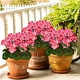thumbnail image 1 of Artificial Geraniums Faux Flowers UV Resistant Realistic Bouquet for Garden Patio Porch Window Box Hanging Basket Home Wedding Party Decorations, 1 of 7
