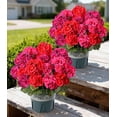 thumbnail image 1 of Artificial Geraniums for Outdoors 2 Pack Potted Faux Plants UV Resistant Realistic Topiaries Greenery for Garden Porch Patio Yard Indoor, 1 of 6